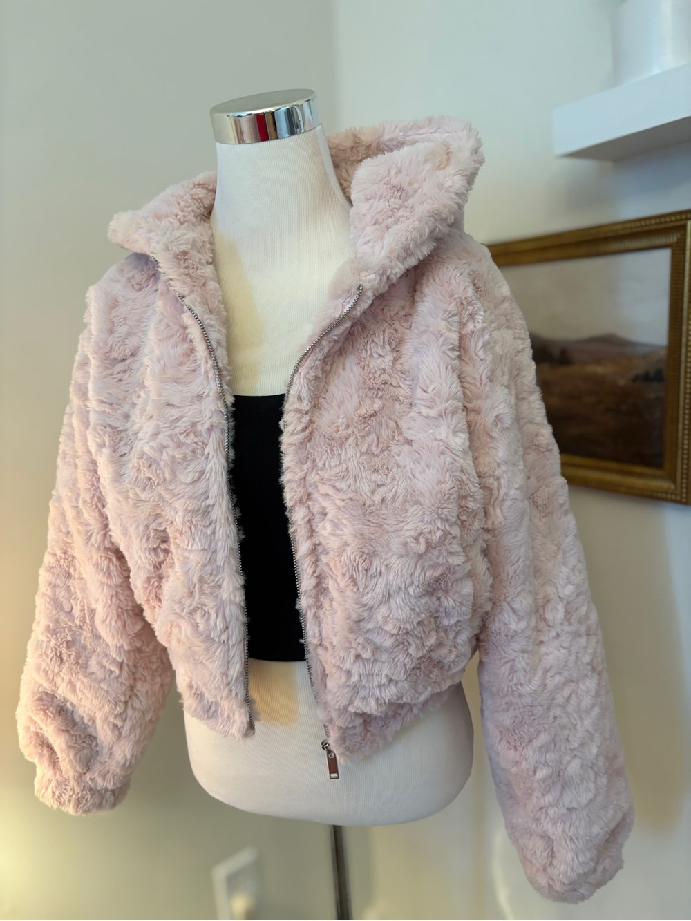 Plush Hooded Zip Jacket in Light Pink